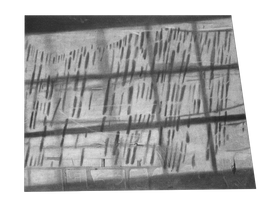 palimpsest - 42x56cm - charcoal on paper - 2019